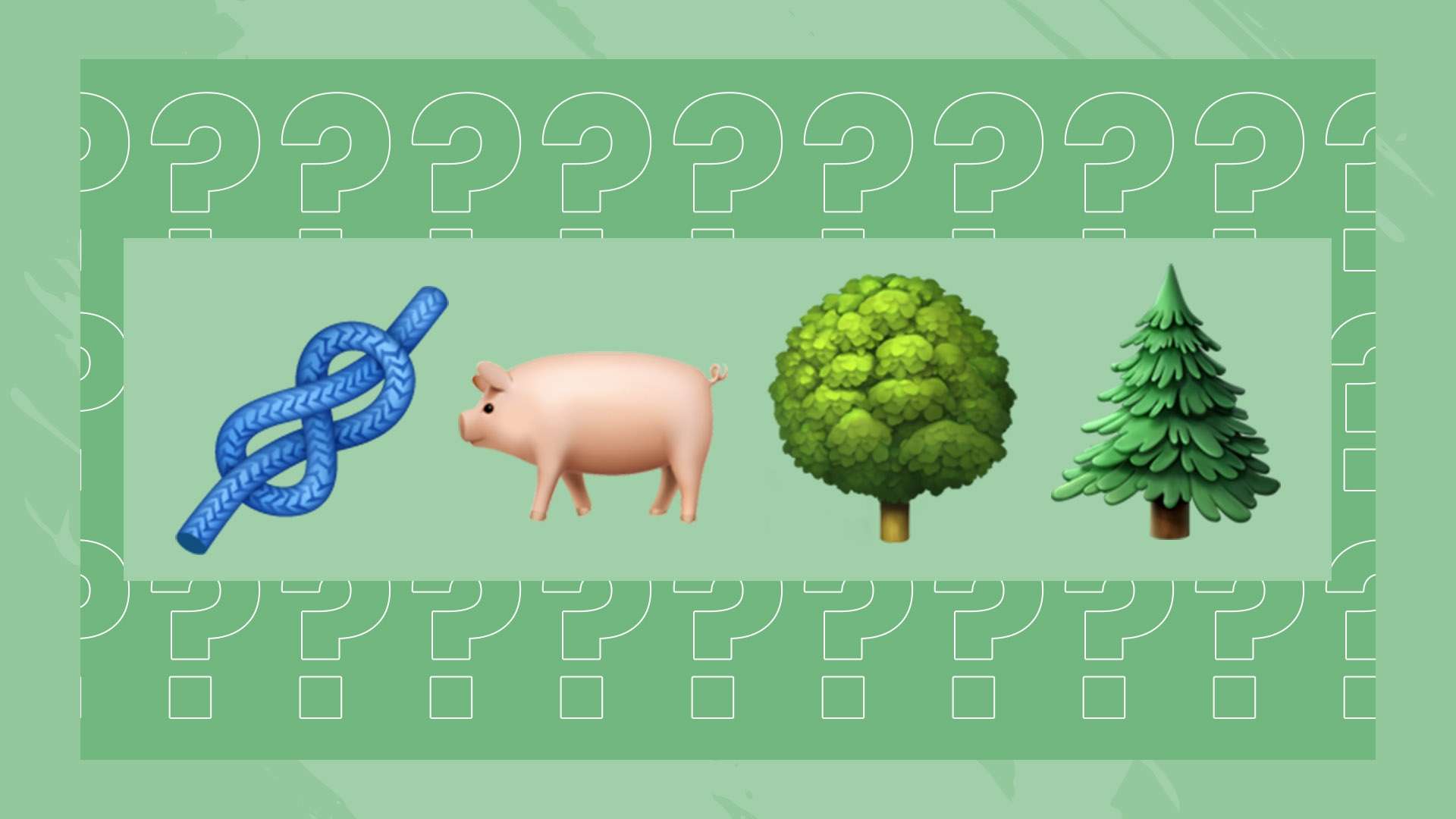 希望所在 希望所在