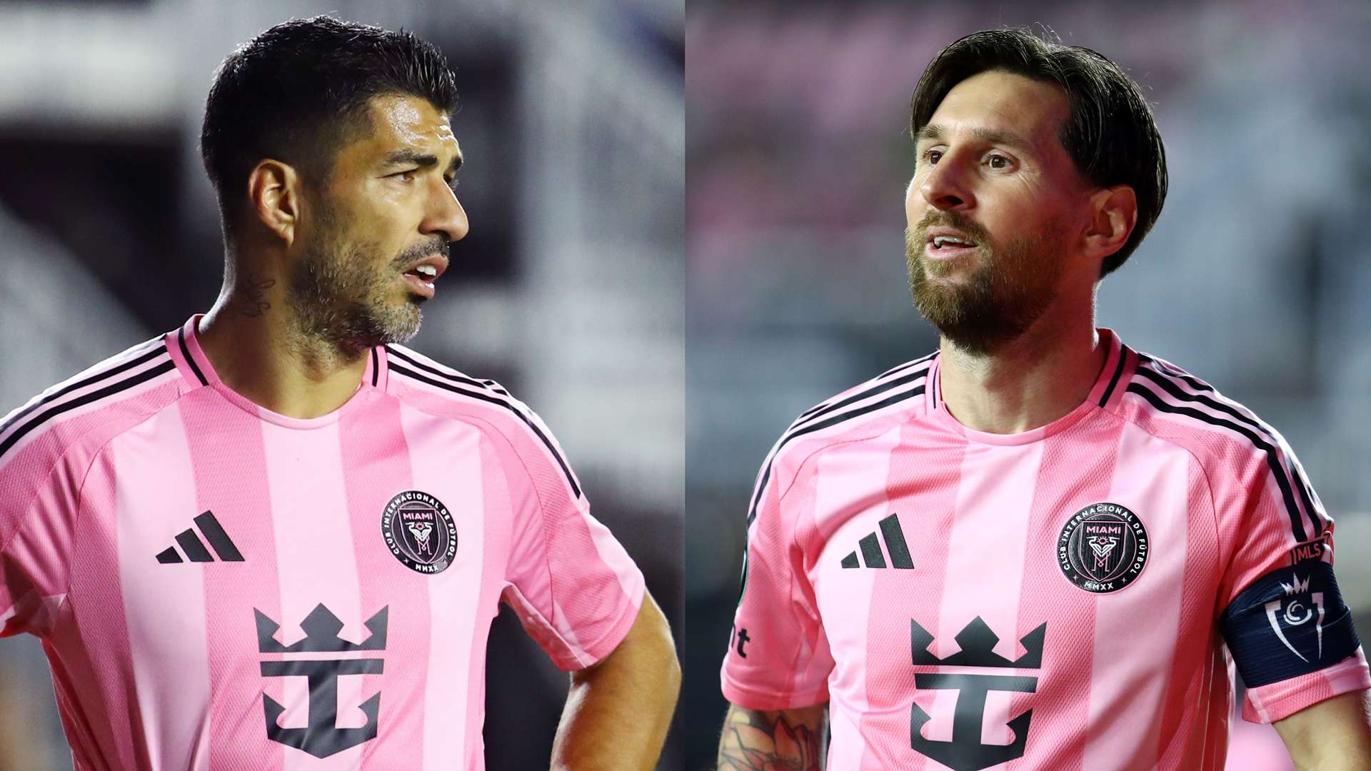 為卻給這項 為卻給這項