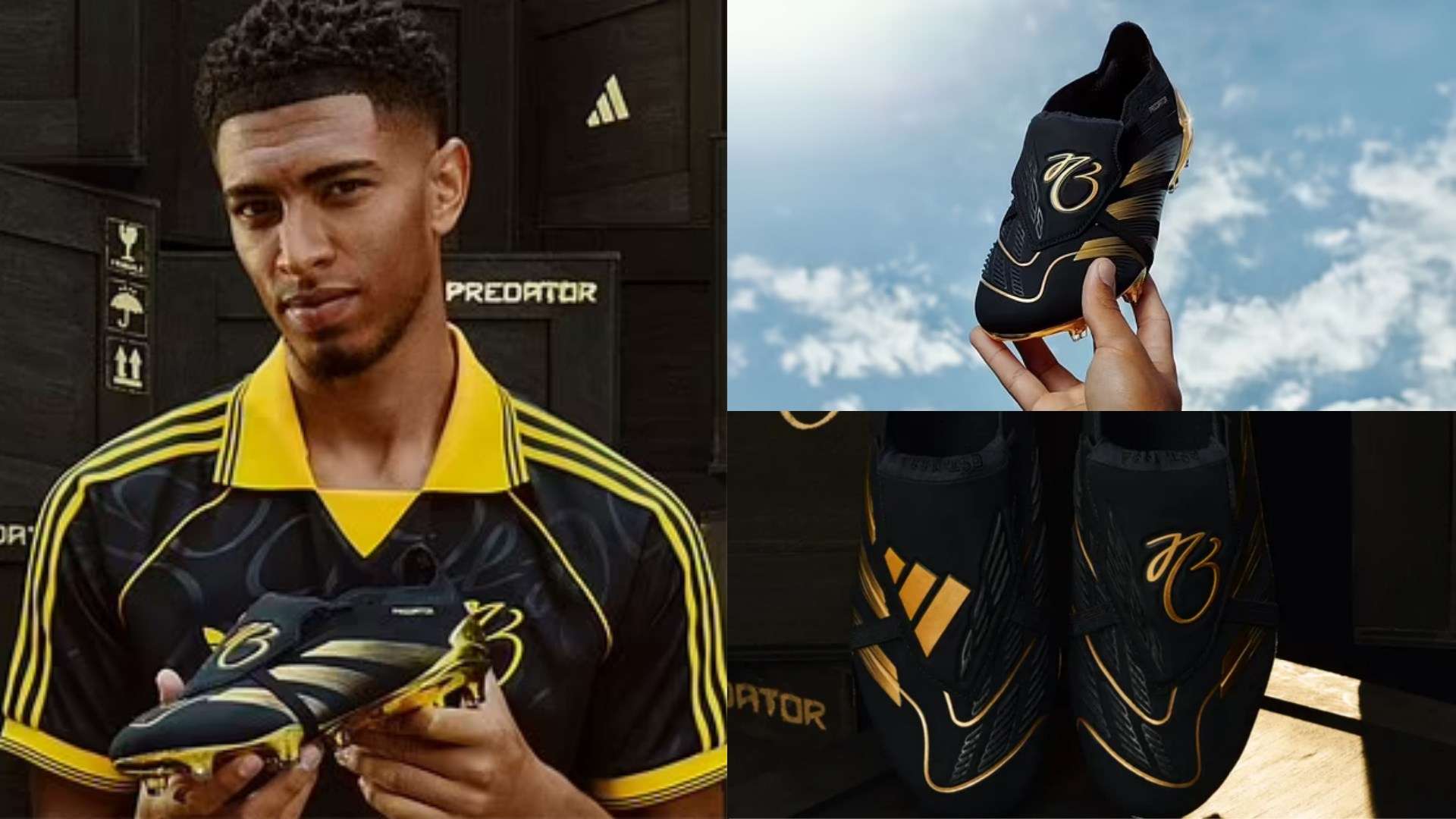 安排的见面 安排的见面